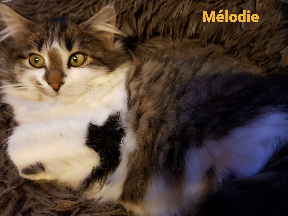 Mélodie - 1 an