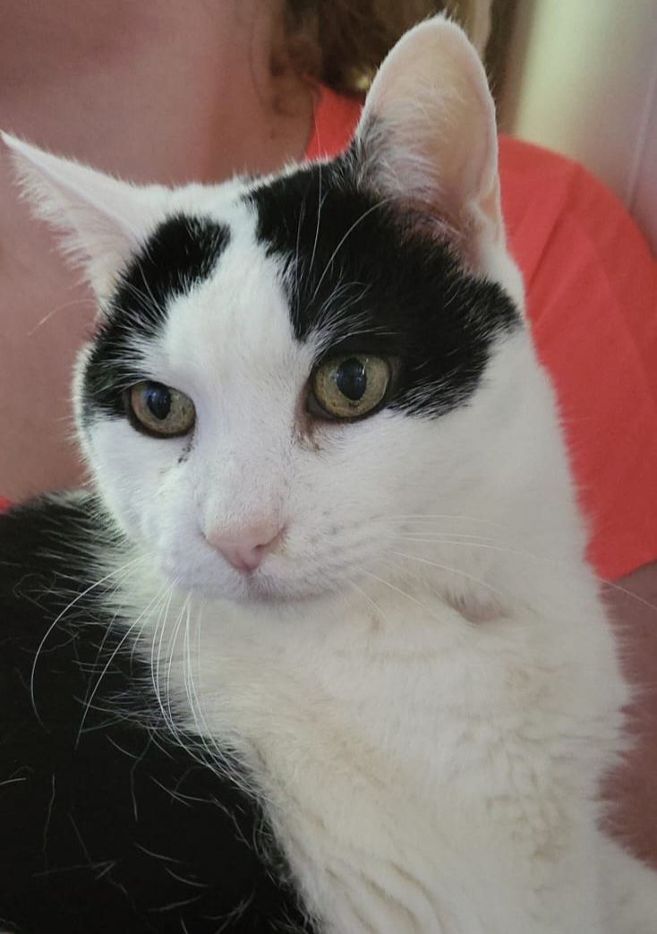 Picasso - 16 ans