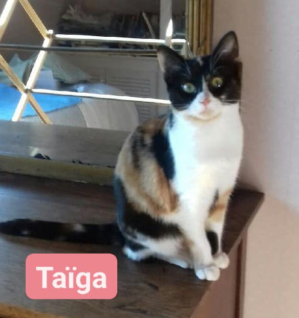 Taïga - 22/05/22
