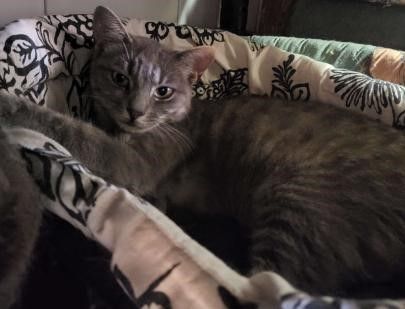 Mia - 22/11/22
