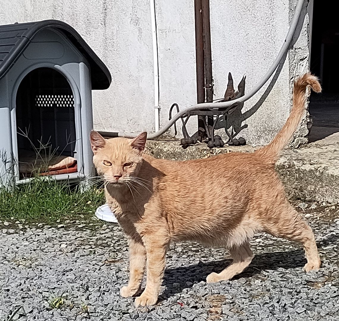 Biscuit - 22/03/22