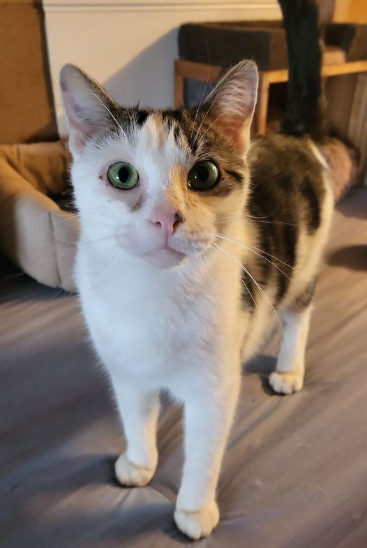 Calypso - 22/09/22