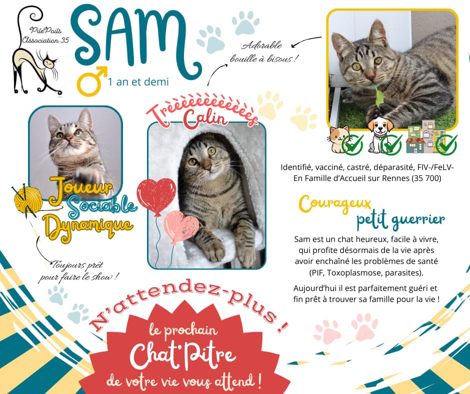 Sam - 23/07/23