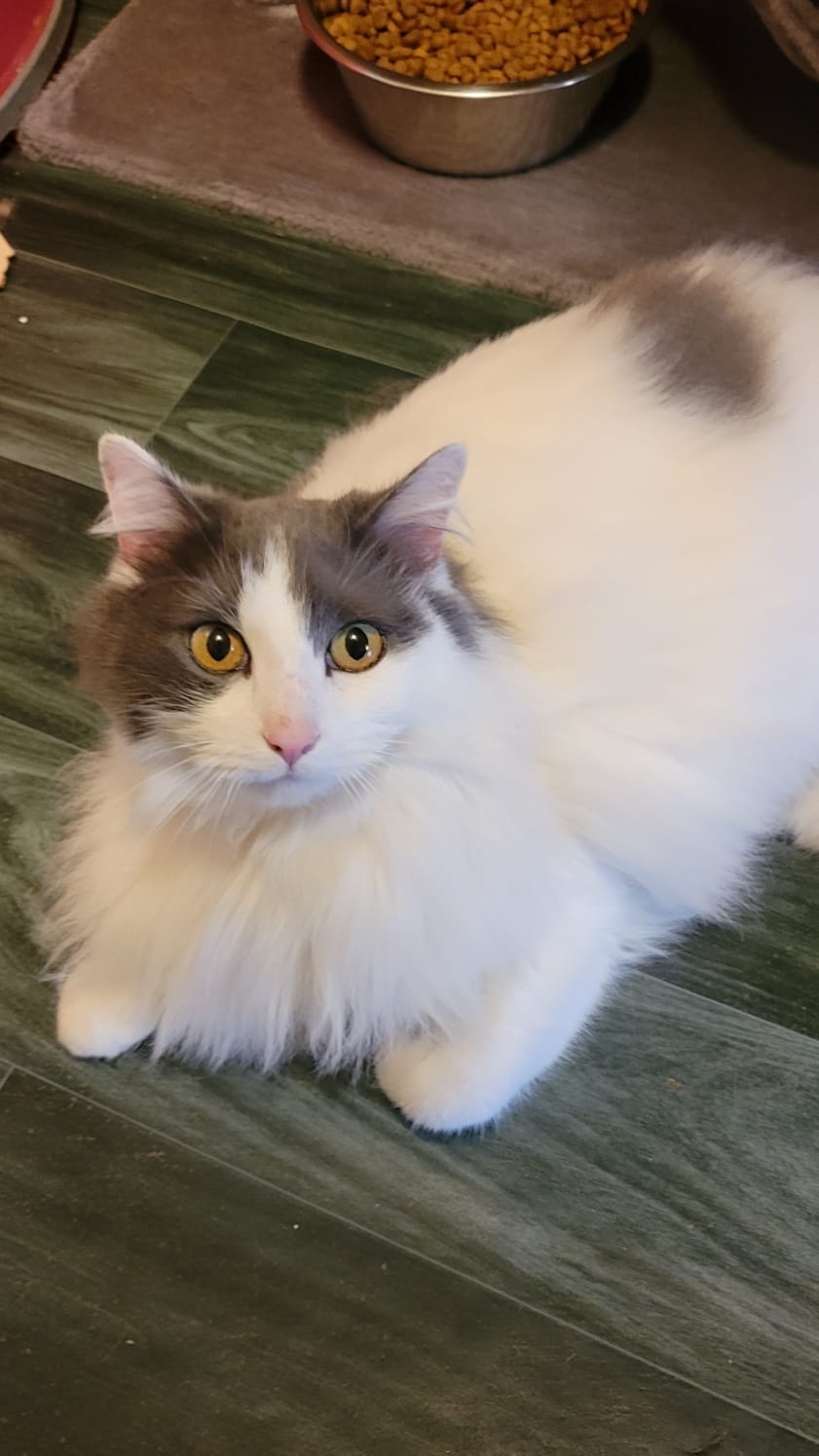 Tom - 18/06/2018