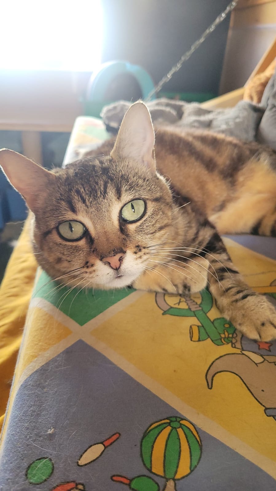 Ella - 22/06/2022
