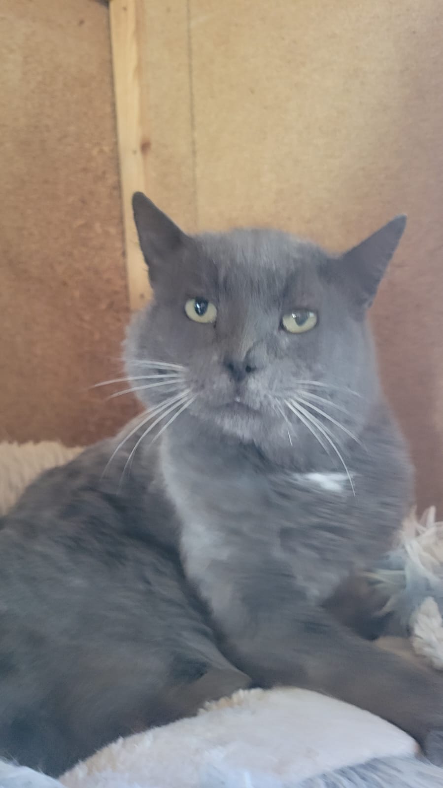 Onyx - 18/06/2018