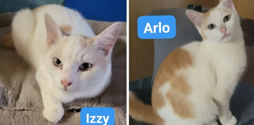 Izzi & Arlo