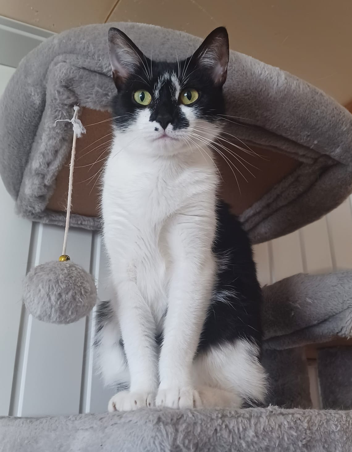 Pépite - 🎂15/04/24🎂