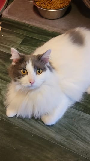 Tom - 18/06/2018