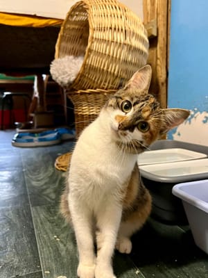 Alba - 04/12/25 (Réservée)