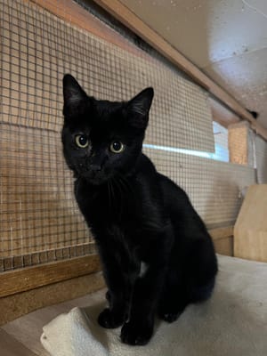 Graphite - 25/06/2025