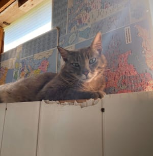 NapNap - 🎂22/05/2022🎂